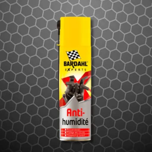 Anti Humidite (aérosol)