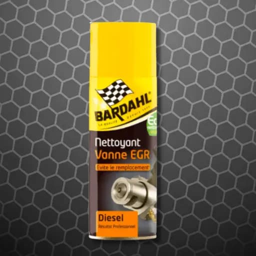 Nettoyant Vanne EGR (aérosol)