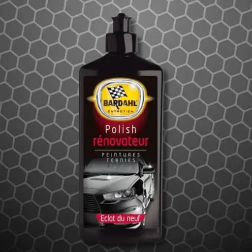 Polish Renovateur